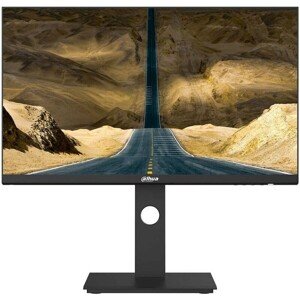 Dahua LM24-P301A monitor