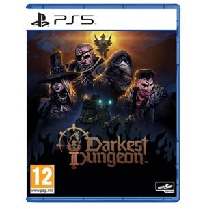 Darkest Dungeon II PS5