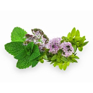 ALFAPUREO SPIRO THERAPY 200 ML